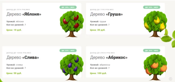 Выбор дерева к покупке