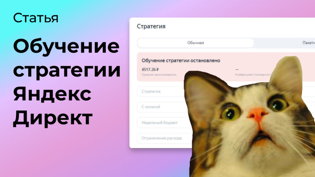 Обучение стратегии Яндекс Директ