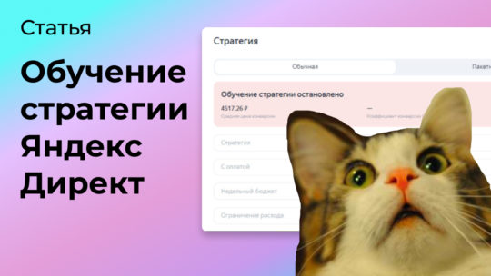 Обучение стратегии Яндекс Директ остановлено: что значит и как ускорить